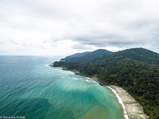 Isla Gorgona con su densa selva tropical y playas de arena blanca